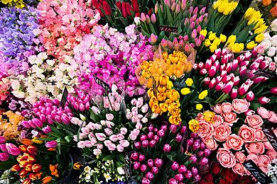 《狂野飙车9》Steam版正式发售 免费游玩支持中文