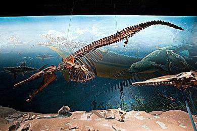 Kakao Games新作《时空奥德赛》 全球封测后核心优化方向曝光